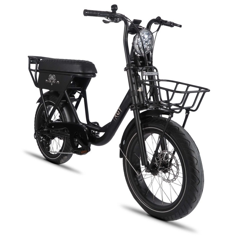 FatBike Troy Diablo noir mat